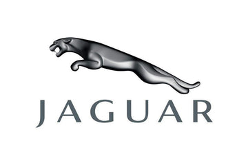 Jaguar Leather-Vinyl Dye Colors