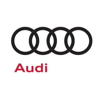 Audi Leather-Vinyl Dye Colors